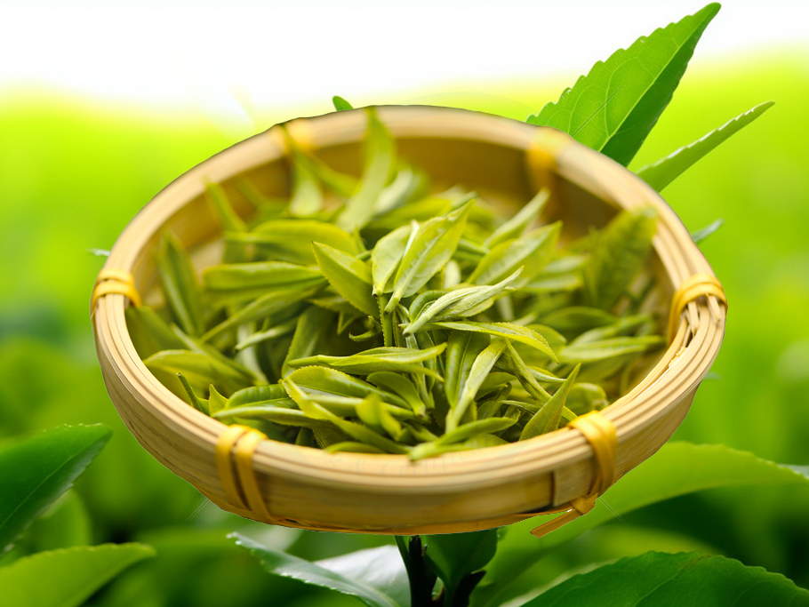 茶叶检测标准和检测项目有哪些